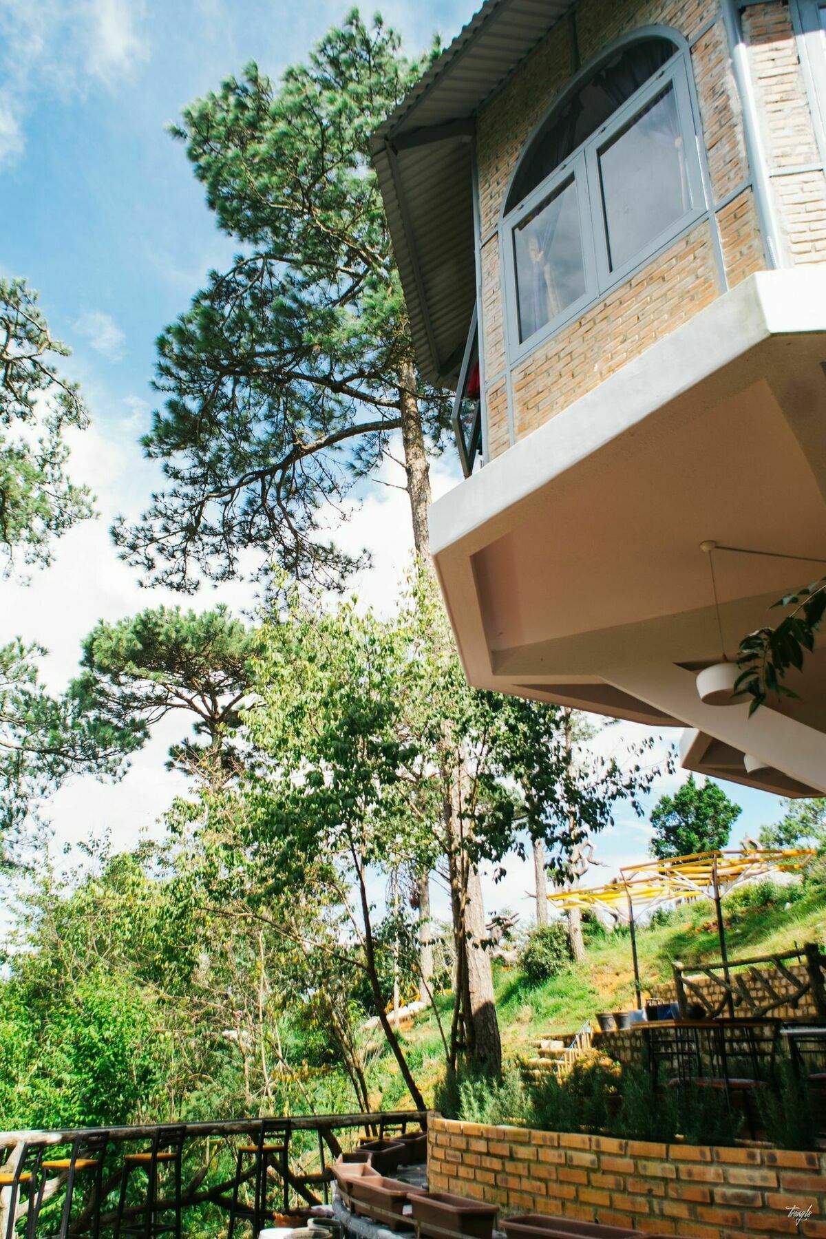 Maple Hostel ダラット エクステリア 写真